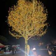 ヒメ日記 2025/12/13 03:52 投稿 みーも スピードエコ難波店