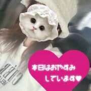 ヒメ日記 2025/12/21 19:42 投稿 みーも スピードエコ難波店