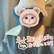 ヒメ日記 2025/12/22 14:52 投稿 みーも スピードエコ難波店