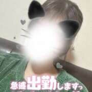 ヒメ日記 2026/01/21 14:52 投稿 みーも スピードエコ難波店