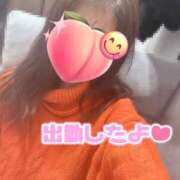 ヒメ日記 2026/01/30 09:02 投稿 みーも スピードエコ難波店