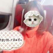 ヒメ日記 2026/02/03 11:42 投稿 みーも スピードエコ難波店