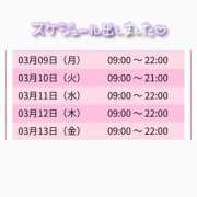 ヒメ日記 2026/03/07 15:22 投稿 みーも スピードエコ難波店