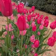 ヒメ日記 2026/03/13 12:12 投稿 みーも スピードエコ難波店