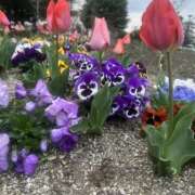 ヒメ日記 2026/03/30 22:52 投稿 みーも スピードエコ難波店