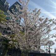 ヒメ日記 2026/04/04 03:12 投稿 みーも スピードエコ難波店