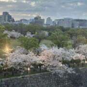 ヒメ日記 2026/04/05 21:32 投稿 みーも スピードエコ難波店