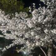 ヒメ日記 2026/04/06 10:12 投稿 みーも スピードエコ難波店