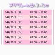 ヒメ日記 2026/04/23 17:38 投稿 みーも スピードエコ難波店
