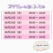 ヒメ日記 2026/06/20 15:51 投稿 みーも スピードエコ難波店