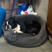 ヒメ日記 2025/01/18 12:35 投稿 めいか【透明感抜群！癒し系】 STELLA TOKYO－ステラトウキョウ－