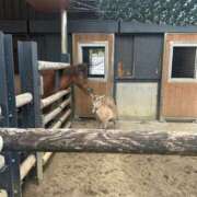 ヒメ日記 2025/02/01 16:42 投稿 めいか【透明感抜群！癒し系】 STELLA TOKYO－ステラトウキョウ－