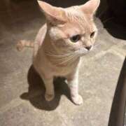 ヒメ日記 2025/07/07 19:17 投稿 めいか【透明感抜群！癒し系】 STELLA TOKYO－ステラトウキョウ－