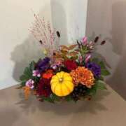 ヒメ日記 2025/09/18 20:25 投稿 めいか【透明感抜群！癒し系】 STELLA TOKYO－ステラトウキョウ－