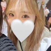 ヒメ日記 2025/10/04 04:23 投稿 めいか【透明感抜群！癒し系】 STELLA TOKYO－ステラトウキョウ－