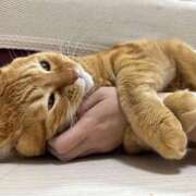 ヒメ日記 2025/10/07 23:34 投稿 めいか【透明感抜群！癒し系】 STELLA TOKYO－ステラトウキョウ－