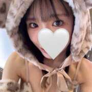 ヒメ日記 2025/11/01 17:03 投稿 めいか【透明感抜群！癒し系】 STELLA TOKYO－ステラトウキョウ－