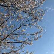 ヒメ日記 2026/04/05 01:07 投稿 めいか【透明感抜群！癒し系】 STELLA TOKYO－ステラトウキョウ－