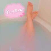 ヒメ日記 2025/02/01 09:58 投稿 みずき 静岡駅前ちゃんこ