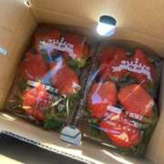 ヒメ日記 2025/01/19 11:23 投稿 あこ 鴨川excellent