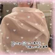 ヒメ日記 2025/01/20 18:33 投稿 さつき 鴨川excellent