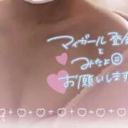 さつき 最終日 鴨川excellent