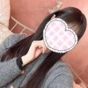 ヒメ日記 2025/07/31 17:28 投稿 みずにゃん★美形キレかわ猫★ 発情期限定!!即ズボ動物愛護団体