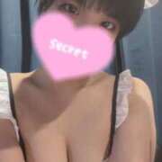 ヒメ日記 2025/01/17 11:25 投稿 りん MINT（ミント）