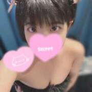 ヒメ日記 2025/01/27 20:02 投稿 りん MINT（ミント）