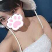 ヒメ日記 2025/03/17 22:13 投稿 りん MINT（ミント）