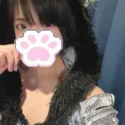 ヒメ日記 2025/03/20 18:18 投稿 りん MINT（ミント）