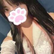 ヒメ日記 2025/04/17 23:54 投稿 りん MINT（ミント）