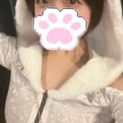 ヒメ日記 2025/04/20 18:00 投稿 りん MINT（ミント）