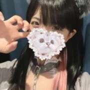 ヒメ日記 2025/04/23 08:01 投稿 りん MINT（ミント）