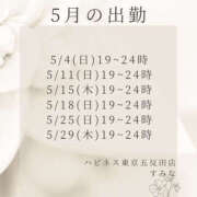 ヒメ日記 2025/04/29 17:57 投稿 すみな ハピネス東京