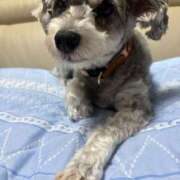 ヒメ日記 2025/08/20 11:27 投稿 【新人】まりな 神奈川小田原ちゃんこ