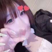 ヒメ日記 2025/04/14 19:14 投稿 ふみ メイドde本舗