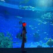 ヒメ日記 2025/07/19 18:16 投稿 ふみ メイドde本舗