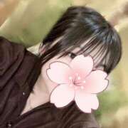 ヒメ日記 2025/12/31 19:20 投稿 みい Sakura Spa