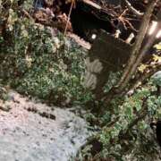 ヒメ日記 2026/01/03 00:20 投稿 みい Sakura Spa