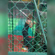 ヒメ日記 2025/03/31 17:07 投稿 ななつ ハピネス東京 吉原店