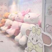 ヒメ日記 2025/02/07 09:01 投稿 生見 アリス Canx2京都店