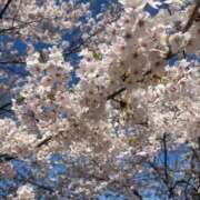 ヒメ日記 2025/05/10 02:13 投稿 のん 花火-hanabi-(すすきの)