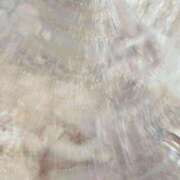 ヒメ日記 2025/01/21 00:07 投稿 草野こはね MIRAI TOKYO 新宿店