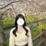 ヒメ日記 2025/03/22 13:59 投稿 草野こはね MIRAI TOKYO 新宿店