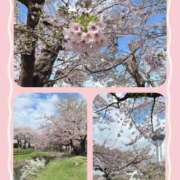 ヒメ日記 2025/05/07 00:12 投稿 長谷川ゆな 札幌ソフィア