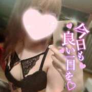 ヒメ日記 2025/01/23 11:00 投稿 るる 若葉