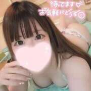 ヒメ日記 2025/06/23 16:55 投稿 るる 若葉