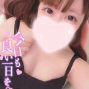 ヒメ日記 2025/12/05 22:27 投稿 るる 若葉