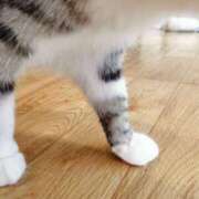 ヒメ日記 2025/06/28 00:26 投稿 るき◆体験◆本日初出勤♪ エピソード倉敷